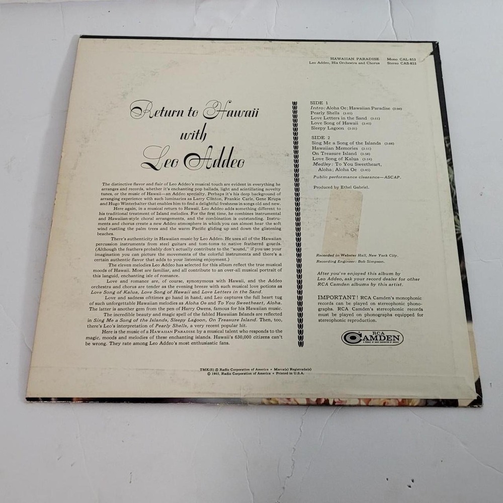 Hawaiian Paradise Love Adobo vinyl record - Picture 3 of 3
